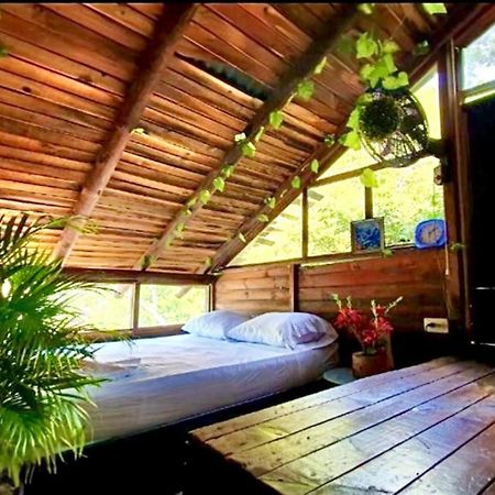 Tamarindo Beach Hostel 塔甘加 外观 照片