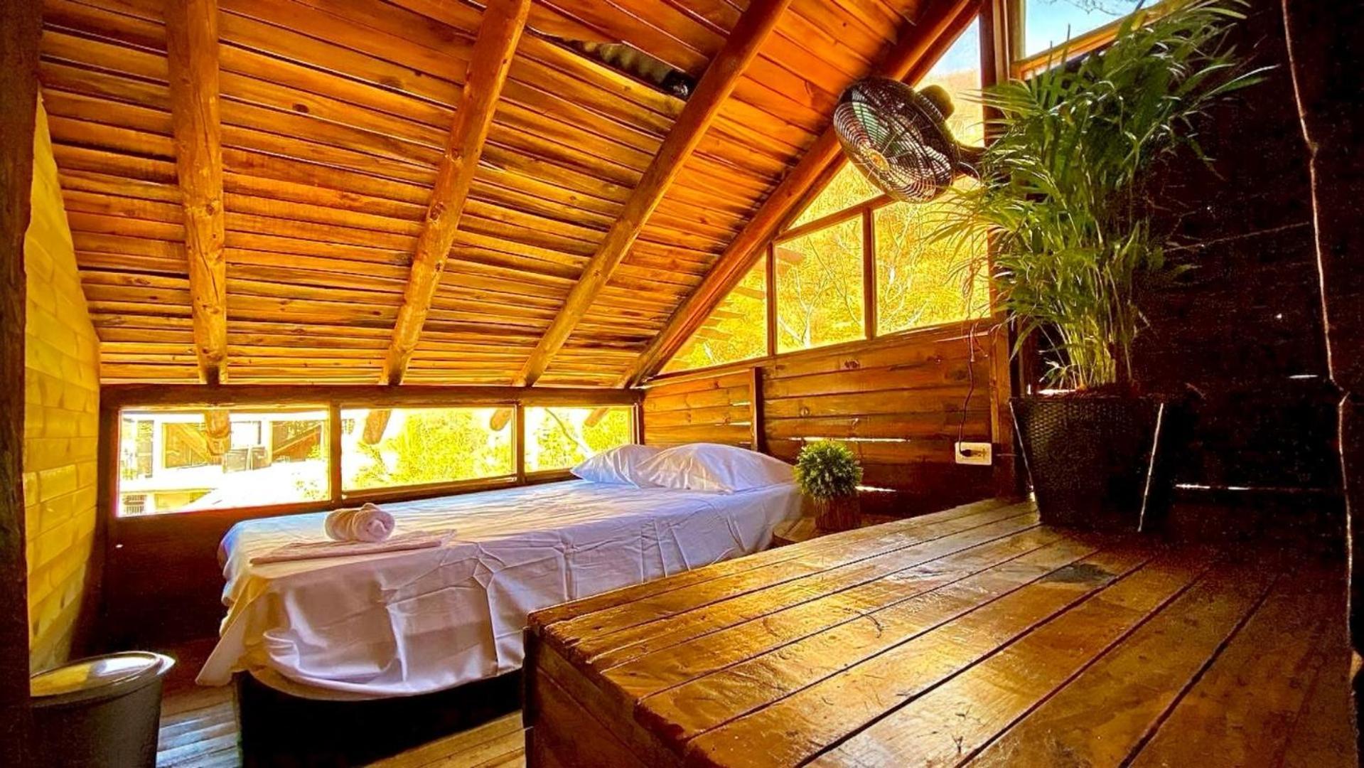 Tamarindo Beach Hostel 塔甘加 外观 照片